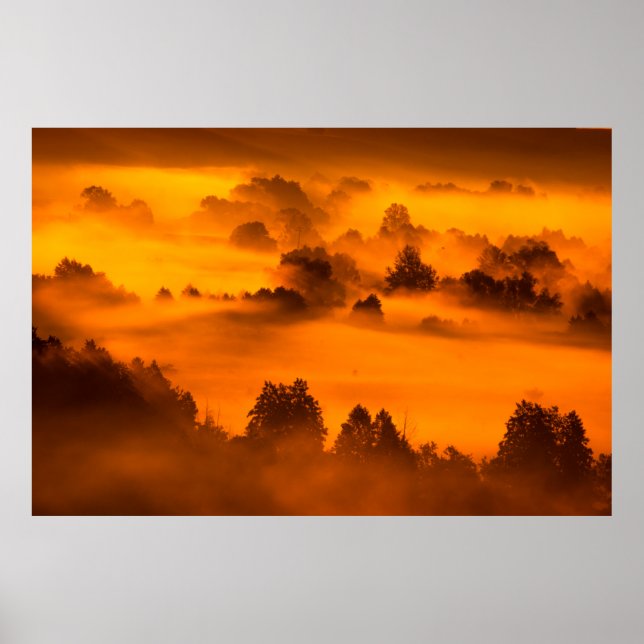 Morgondimma över floden floodplainabstrakt... poster (Framsidan)