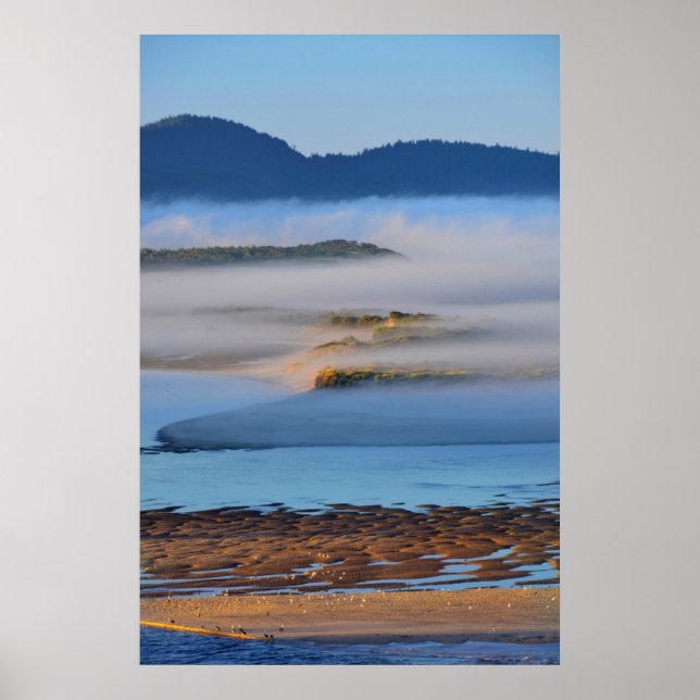 Morgondimma över Netarts Bay, ELLER Poster (Framsidan)
