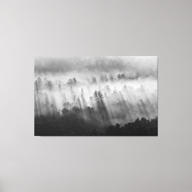 Morgondimman på bergssidan canvastryck (Framsida)