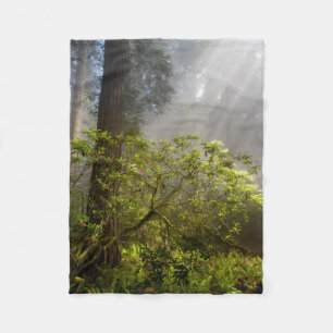 Morgondunst på Rhododendron Fleecefilt