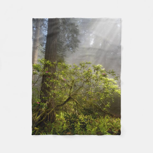 Morgondunst på Rhododendron Fleecefilt (Framsidan)