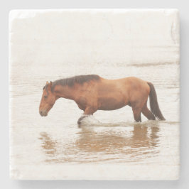 Morgonens simma för en häst stenunderlägg