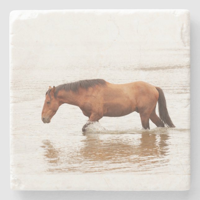 Morgonens simma för en häst stenunderlägg (Framsidan)