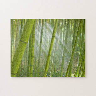 Morgonens solfiltrering genom bambu pussel