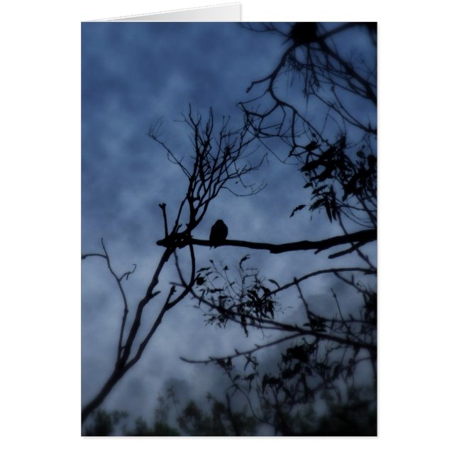 Morgonfog Bird på Grenar-kort Hälsningskort (Framsidan)