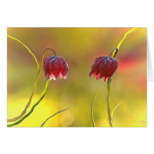 Morgonfröjd Hälsningskort (Framsidan Horizontal)