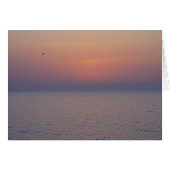 Morgonfrukter Hälsningskort (Framsidan Horizontal)