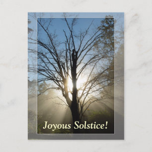 "Morgonglas" Solstice-vykort Vykort