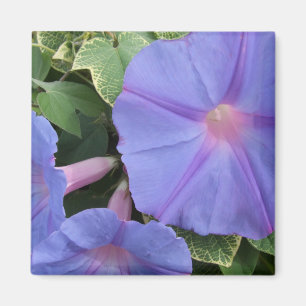 MorgonGlorier Magnet