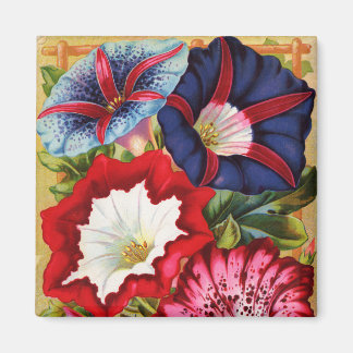 MorgonGlorier Magnet