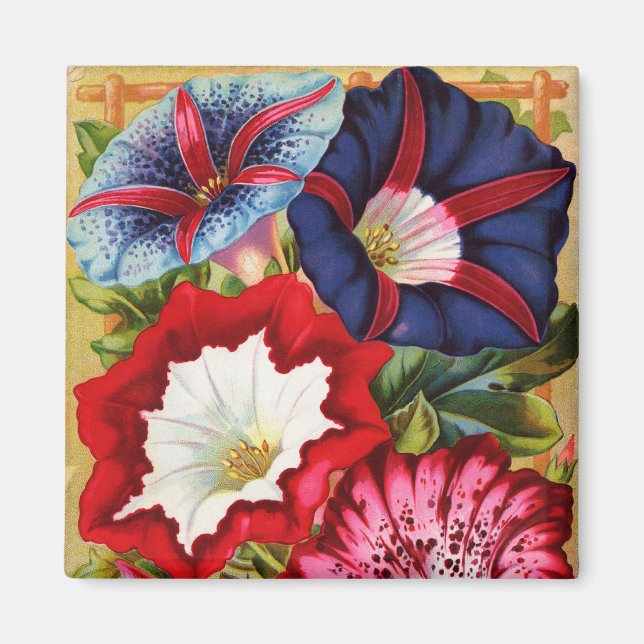 MorgonGlorier Magnet (Framsidan)