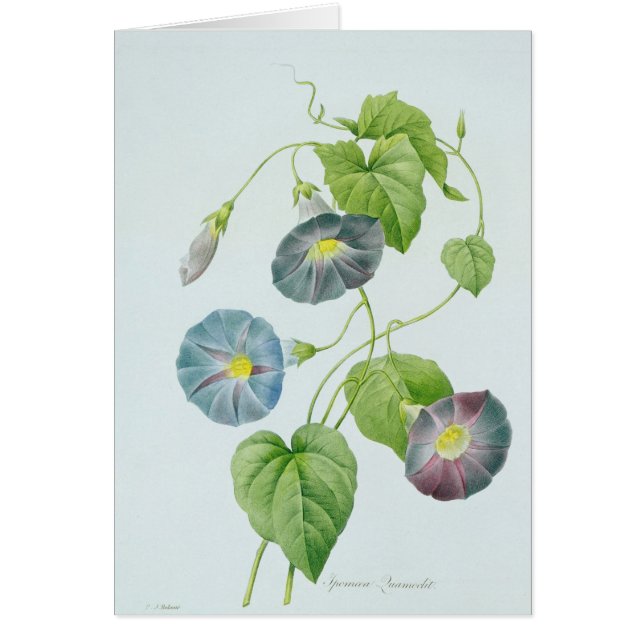 Morgonhärlighet Hälsningskort (Framsidan)