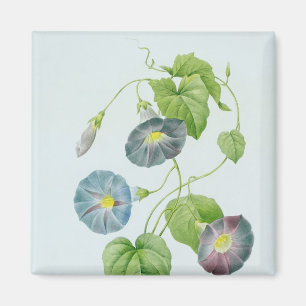 Morgonhärlighet Magnet