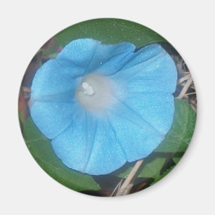 Morgonhärlighet Magnet
