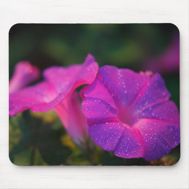 Morgonhärlighet Mousepad Musmatta (Framsidan)
