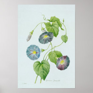 Morgonhärlighet Poster