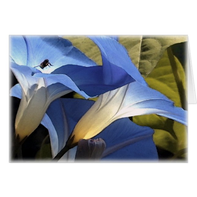 Morgonhärligheter Hälsningskort (Framsidan Horizontal)