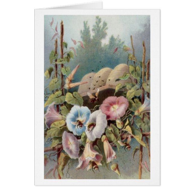 Morgonhärligheter OBS Kort (Framsidan)