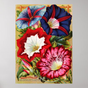 Morgonhärlighettryck Poster