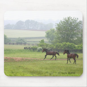 Morgonhästspring Mousepad Musmatta