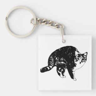 Morgonklocka Tabby