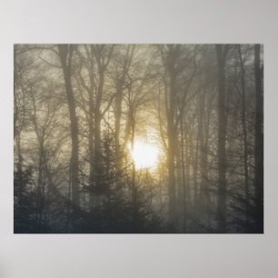 Morgonläge Poster