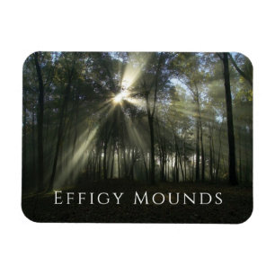 Morgonljus genom Träd, Effigy Mounds, Iowa Magnet