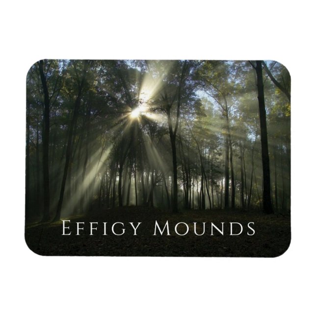 Morgonljus genom Träd, Effigy Mounds, Iowa Magnet (Horisontell)