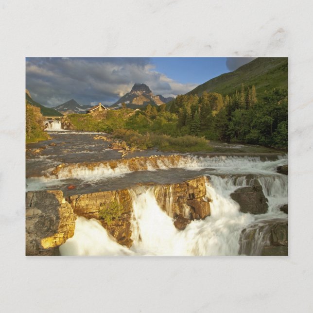 Morgonljus möter Swiftcurrent Falls i Vykort (Framsida)