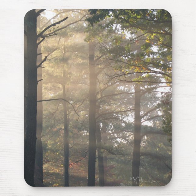 Morgonljus Musmatta (Framsidan)