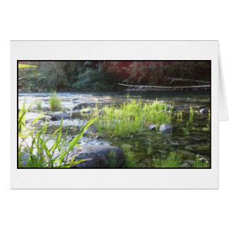 Morgonljus på floden Cowichan Hälsningskort