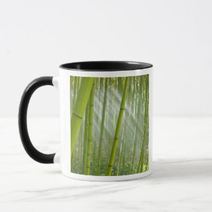 Morgonljus som filtrerar genom bambu mugg