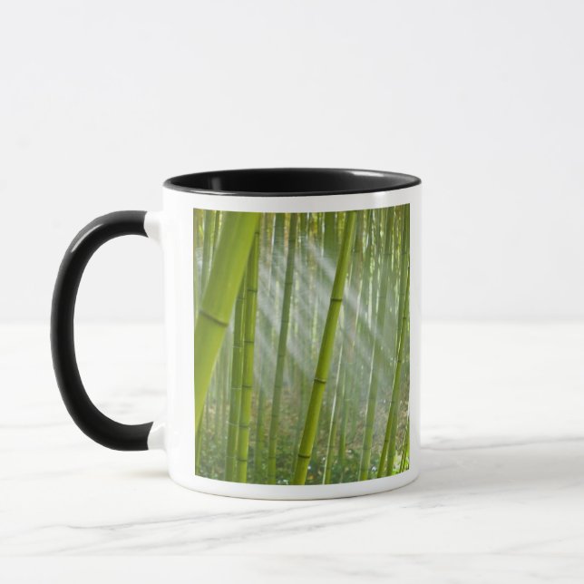 Morgonljus som filtrerar genom bambu mugg (Vänster)