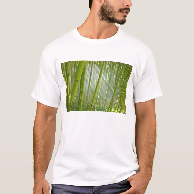 Morgonljus som filtrerar genom bambu tee (Framsida)