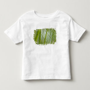 Morgonljus som filtrerar genom bambu tee