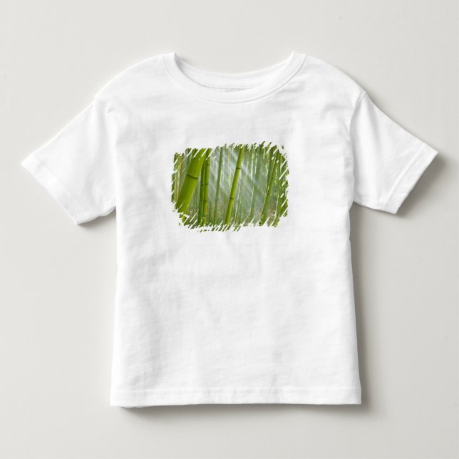 Morgonljus som filtrerar genom bambu tee (Framsida)
