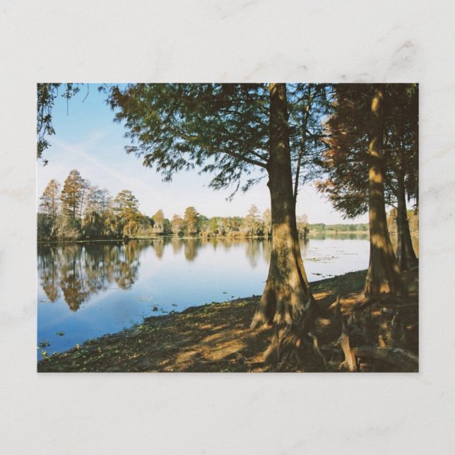 Morgonljus Vykort (Framsida)