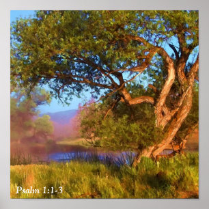 MORGONMIST PÅ SHASTAEN 2 POSTER