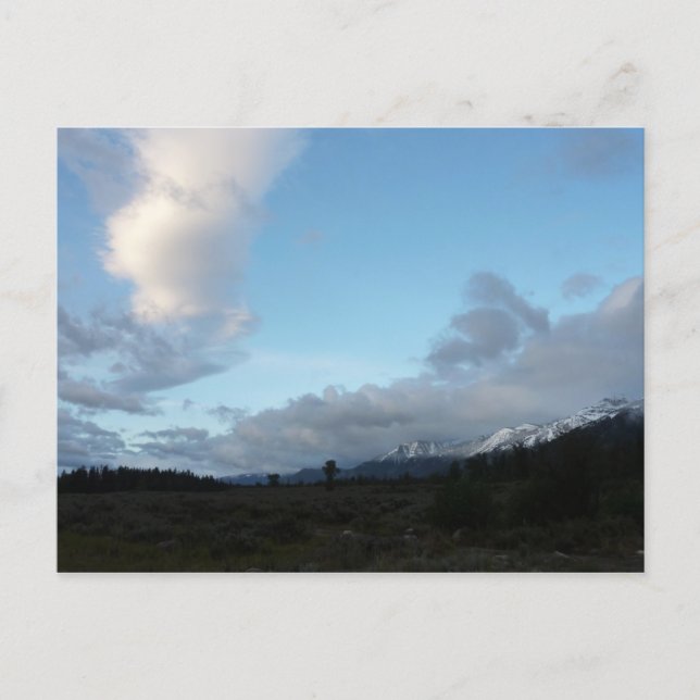 Morgonmoln vid Grand Teton National Park Vykort (Framsida)