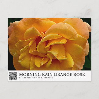 Morgonregn Orange Ros Vykort