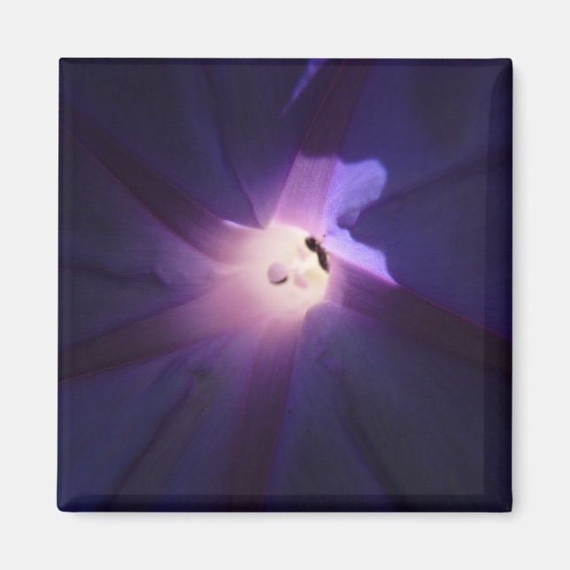 morgonroman magnet (Framsidan)