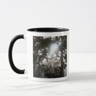Morgonsolljus till och med lövverk av djungeln mugg