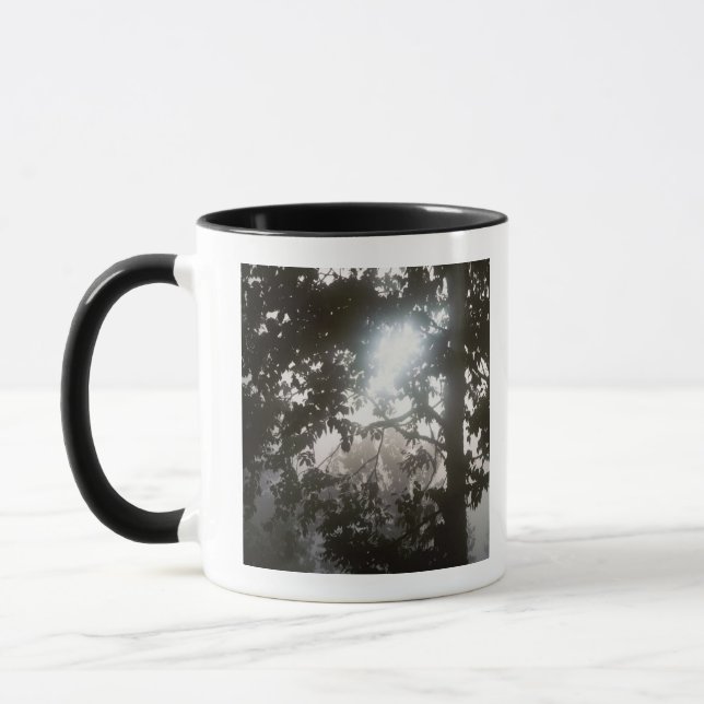 Morgonsolljus till och med lövverk av djungeln mugg (Vänster)