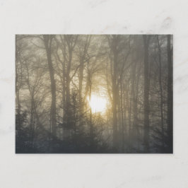 Morgonstämning Vykort