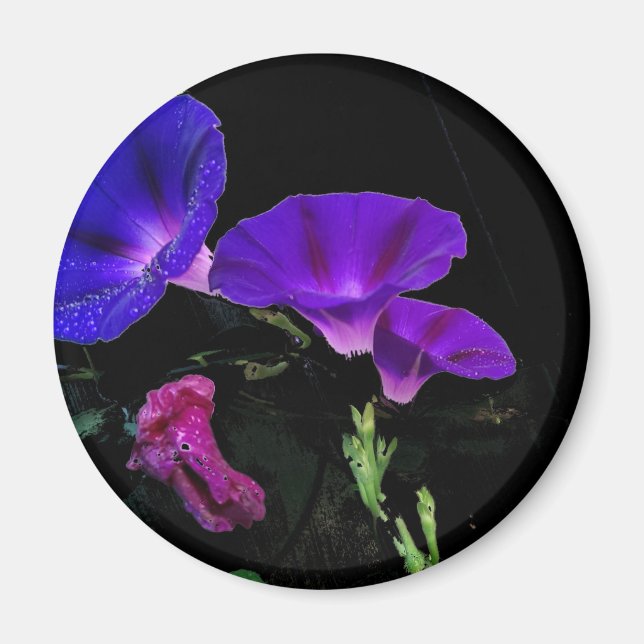 Morgonståndsblomma Blommig Magnet (Framsidan)