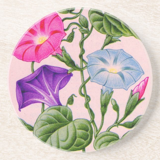 morgonståndsgloria i blått och rosa underlägg (Framsidan)