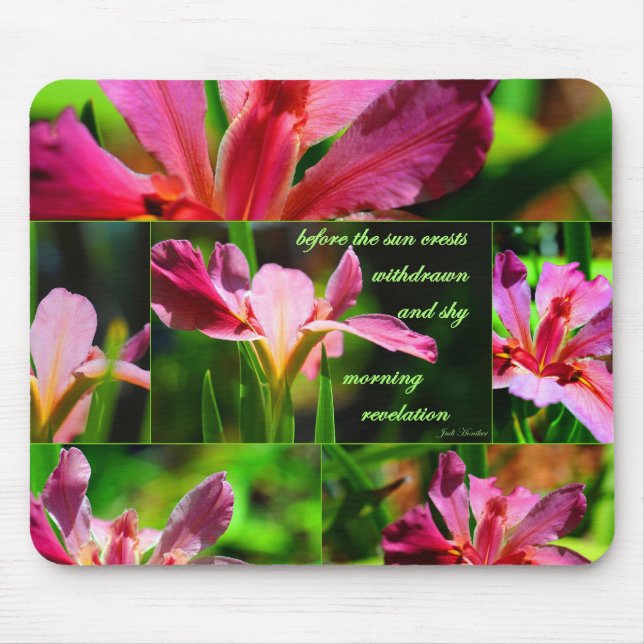 Morgonuppenbarelse Musmatta (Framsidan)