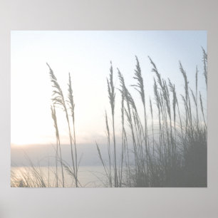 MorgonWhisper Poster