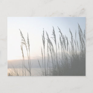 MorgonWhisper Vykort