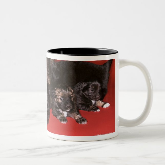 Morhund med valpar Två-Tonad mugg (Höger)